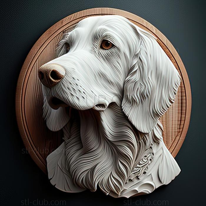 st English Setter dog